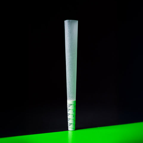 Hybrid Pre Rolled Conical Cones mit Aktivkohlefilter